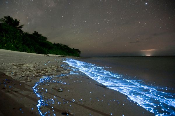 SLAM POETRY MALDIVES, sea of stars vaadhoo island