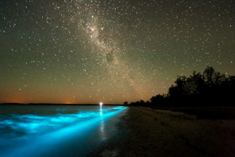 maldives, slam poetry, sea of stars